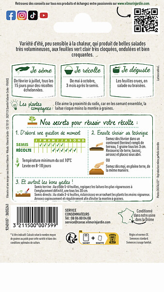 VILMORIN - Laitue Batavia Blonde de Paris - large