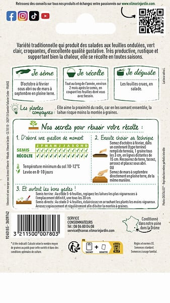 VILMORIN - Laitue à couper Salad Bowl verte - large