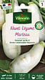 VILMORIN - Navet Marteau - vignette