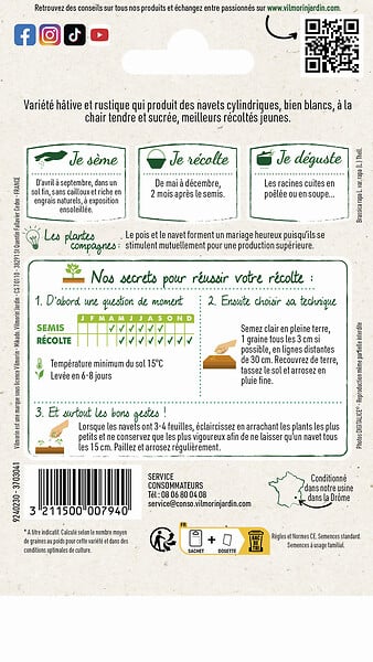 VILMORIN - Navet Marteau - large