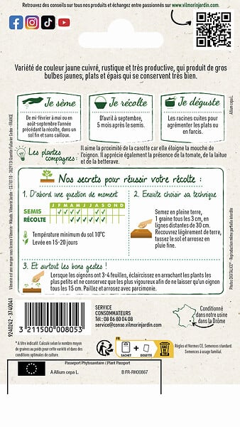 VILMORIN - Oignon jaune paille des Vertus - large
