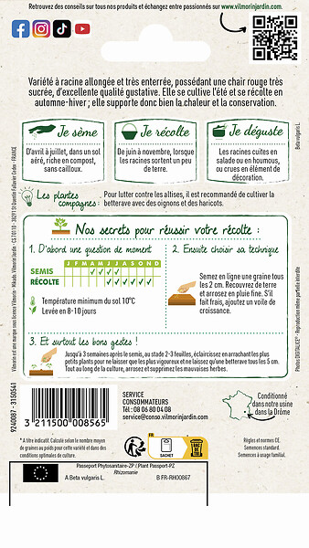 VILMORIN - Betterave rouge crapaudine - large