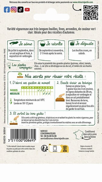 VILMORIN - Mâche à grosse graine - large