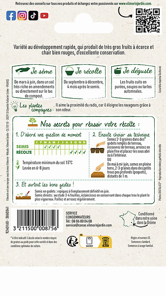 VILMORIN - Potiron rouge vif d'Etampes - large