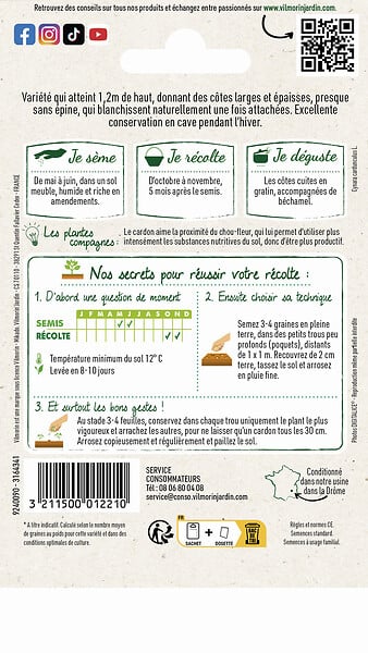 VILMORIN - Cardon plein blanc inerne - large