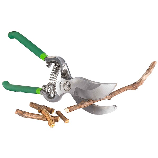RIBIMEX - Sécateur forgé lames courbes 250 mm - large