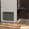 ROINTE - Radiateur connecté EOINIQ 4 éléments 600W Tarpaulin Grey - ROINTE - ERFG0600RAD2 - vignette