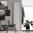 ROINTE - Radiateur PALAOS connecté 2 éléments 1000W Blanc - ROINTE - PIW1000WF - vignette