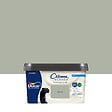 DULUX VALENTINE - Peinture Crème de Couleur Biosourcé - Saule Biosourcé - Mat - 2,25 L - vignette
