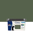 DULUX VALENTINE - Peinture Crème de Couleur Biosourcé - Vert Tropical - Mat - 2,25 L - vignette