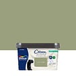 DULUX VALENTINE - Peinture Crème de Couleur Biosourcé - Gentil Cactus - Satin - 2,25 L - vignette