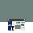DULUX VALENTINE - Peinture Crème de Couleur Biosourcé - Vert Céladon - Satin - 2,25 L - vignette