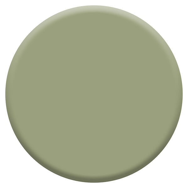 DULUX VALENTINE - Peinture Crème de Couleur Biosourcé - Gentil Cactus - Satin - 2,25 L - large