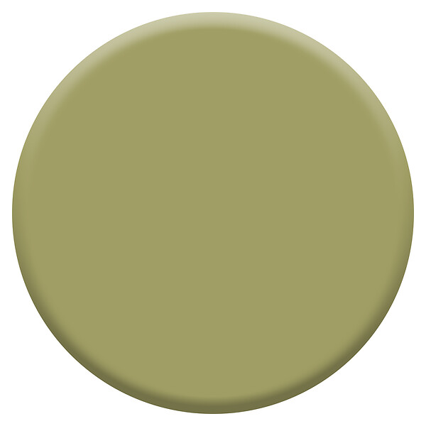 DULUX VALENTINE - Peinture Crème de Couleur Biosourcé - Aiguilles de Pin - Satin - 0,5 L - large