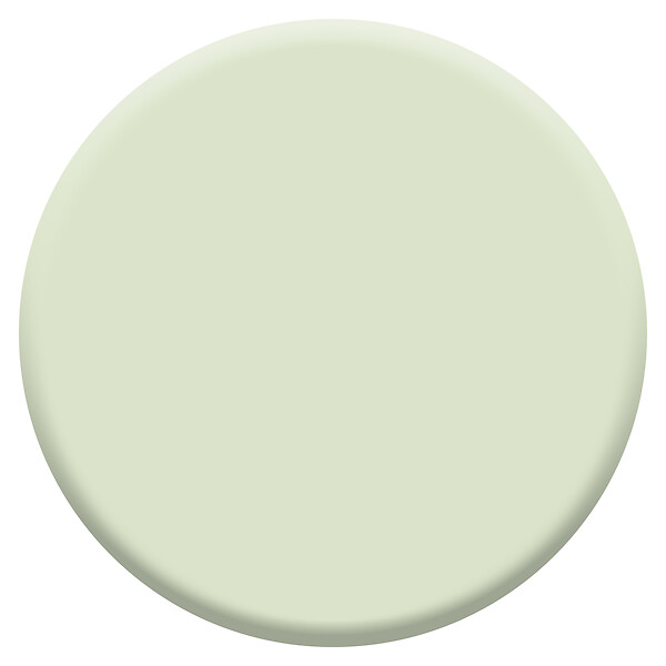 DULUX VALENTINE - Peinture Crème de Couleur Biosourcé - Tendrement Vert - Velours - 1 L - large