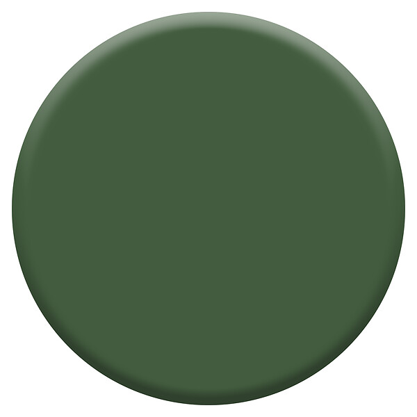 DULUX VALENTINE - Peinture Crème de Couleur Biosourcé - Vert Tropical - Velours - 1 L - large