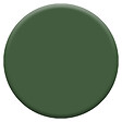 DULUX VALENTINE - Peinture Crème de Couleur Biosourcé - Vert Tropical - Velours - 1 L - vignette