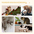 PAWHUT - Arbre à chat 2 griffoirs niche entrée tête de chat plateforme d'observation jouet suspendu coussins amovibles peluche grande douceur aspect bois clair - vignette