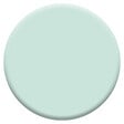 DULUX VALENTINE - Dulux Valentine Testeur peinture Crème de Couleur -Menthe Frappée 30ml - vignette