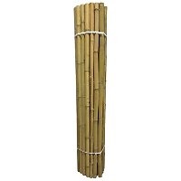 NATURE - Canisse bambou premium 2x2m - large