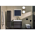 HANSGROHE - Hansgrohe AddStoris Set Brosse de toilette murale + Porte-papier toilette mural avec tablette, Noir mat (41752670-Addstoris) - vignette