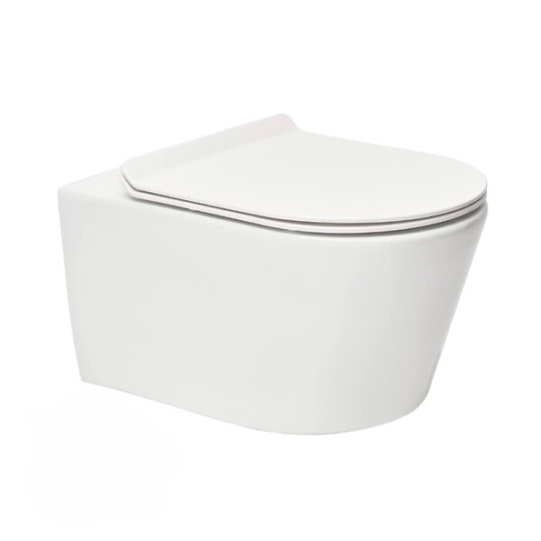 SWISS AQUA TECHNOLOGIES - Swiss Aqua Technologies Pack WC Bâti-support Rapid SL + WC sans bride SAT Brevis + Plaque Noir mat - large