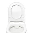 GROHE - Grohe Pack WC Bâti-support Rapid SL  + WC sans bride SAT + Abattant SoftClose + Plaque Chrome (RapidSL-Project-1) - vignette