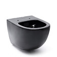 SWISS AQUA TECHNOLOGIES - Swiss Aqua Technologies WC suspendu sans bride SAT Infinitio avec abattant softclose, Noir mat (SATINF011RREXPBKM) - vignette