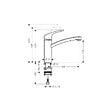 HANSGROHE - Mitigeur évier - Focus Eco C3 - Cuisine - Bec orientable - vignette