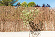SICATEC - Brande de bruyère naturelle 1kg - 1x5 m - vignette