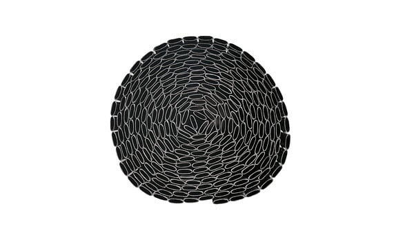 SICATEC - Canisse PVC Double Face 1,5x3m gris - large