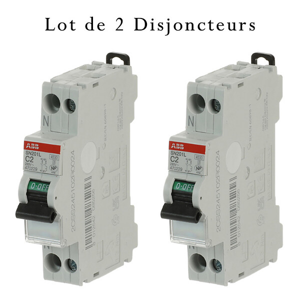 ABB - Lot de 2 disjoncteurs Ph+N raccordement Vis 2A-4,5Ka - Courbe C-ABB - large