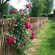 ART GARDEN - Panneau cloture noisetier en tressage vertical - H100 X L 150 cm - vignette