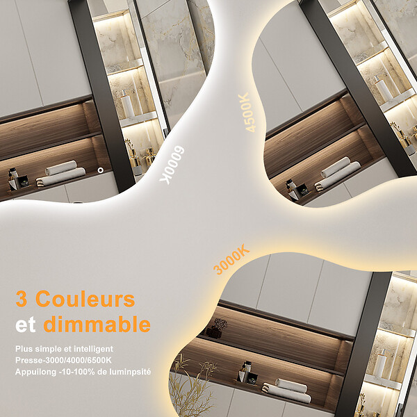 AICA SANITAIRE - AICA Miroir salle de bain asymétrique 100 x 66 cm LED Éclairage réglable en 3 couleurs + anti-buée + fonction mémoire - large