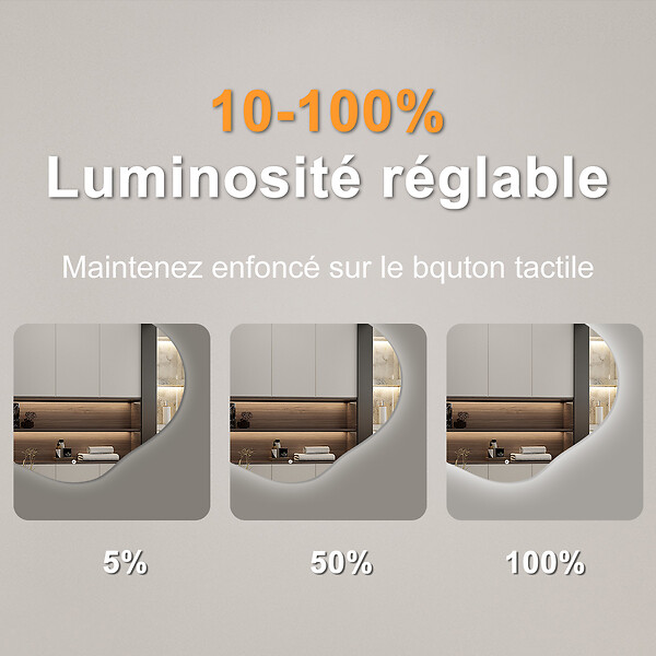 AICA SANITAIRE - AICA Miroir salle de bain asymétrique 100 x 66 cm LED Éclairage réglable en 3 couleurs + anti-buée + fonction mémoire - large