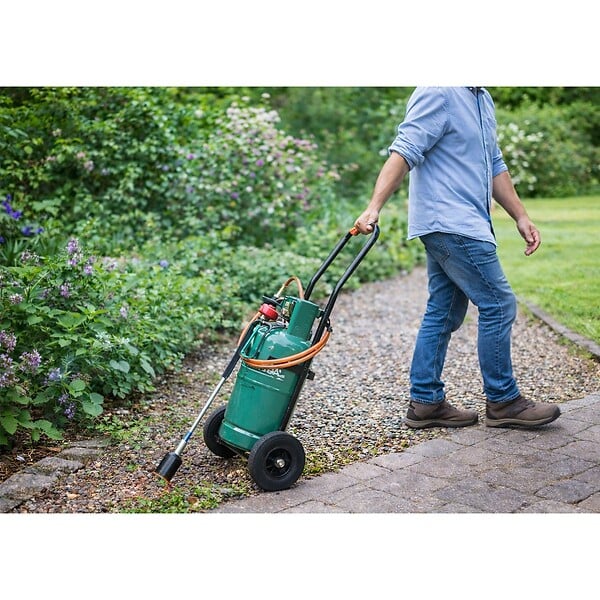 INTEC - Desherbeur thermique Tuyau 5m Bruleur 50 mm Détendeur Propane Chariot à roues Allumage piezo INTEC - large