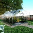 KLASIKA GREENHOUSES - Serre de jardin KLASIKA TUBE PREMIUM 3 x 4 m (12 m²), 6 mm avec revêtement en polycarbonate - vignette