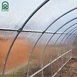 KLASIKA GREENHOUSES - Serre de jardin KLASIKA TUBE EXTRA 3 x 4 m (12 m²), 4 mm avec revêtement en polycarbonate - vignette