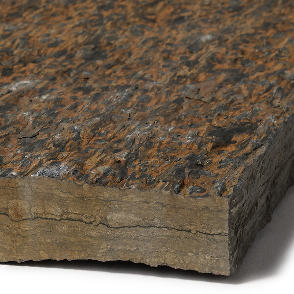 RO'MA NATURE - Pas japonais Rectangle Schiste 100x50x3-7 cm (à l'unité) - large