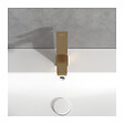 VILLEROY & BOCH - Villeroy & Boch Architectura Mitigeur Monocommande de Lavabo  , Or brossé (TVW12500400076) - vignette