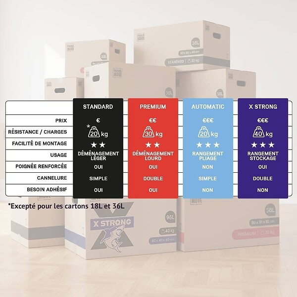 PACK AND MOVE - Pack and Move - Lot 30 Cartons Déménagement Premium - 40 X 40 X 60 Cm - Résistance 30 KG - Double Épaisseur - Poignées Renforcées - 2 Adhésifs Offerts - large