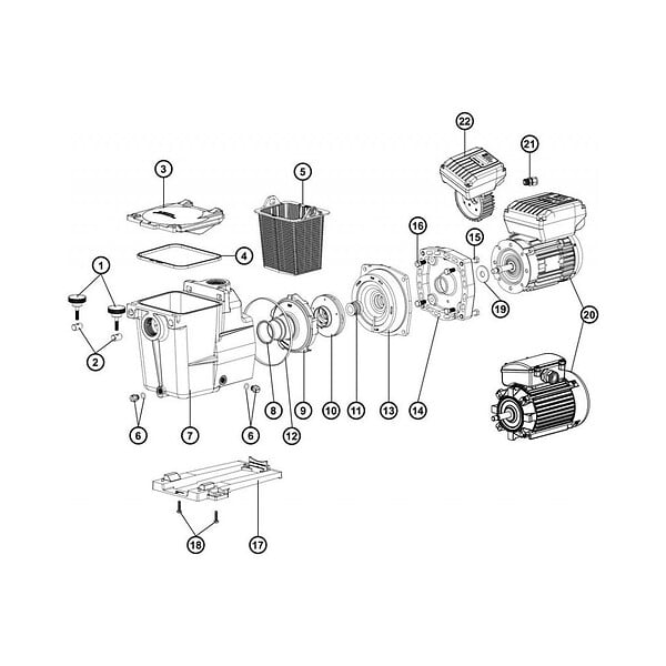 HAYWARD - Joint de diffuseur pour pompe Super Pump - Hayward - large
