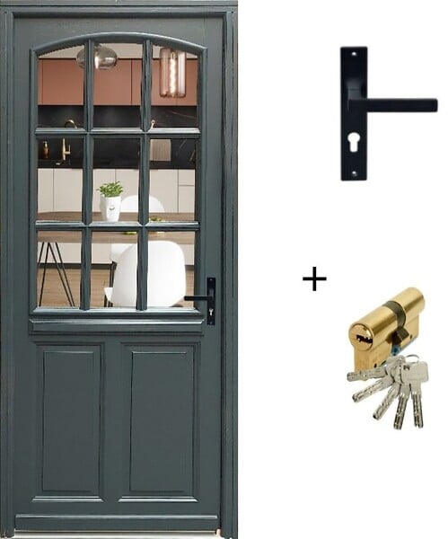 GD MENUISERIES - Porte d'entrée Bois Vitrée Alexa Gris Anthr., H215 x L80 cm Côte Tableau p.Gauche (Poignée, Barillet ref 010723NO) - large