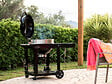 NAPOLEON - Barbecue à charbon Kettle Pro 57 cm sur chariot + Lot de 2 paniers à charbon - Napoleon - vignette