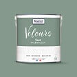 NUANCE - Peinture Velours - Vert talentueux - 2L - vignette