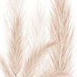 99DECO - Lot de 2 panneaux de douche en PVC (90x220 & 120x220 cm) + profilés blanc - Pampa - Marron - vignette