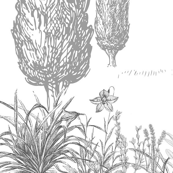 99DECO - Papier peint panoramique - Provence - Gris - intissé : 150g/m² - 7 lés : 336x270cm - large