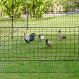 ID MARKET - Kit clôture filet à poules 24 M avec porte 9 piquets double pointe - vignette