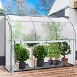 ID MARKET - Serre d'hivernage murale adossée 300 x 80 x 160 cm double ouverture balcon et terrasse - vignette