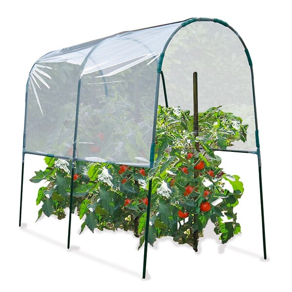 ID MARKET - Serre à tomates 2 M - large